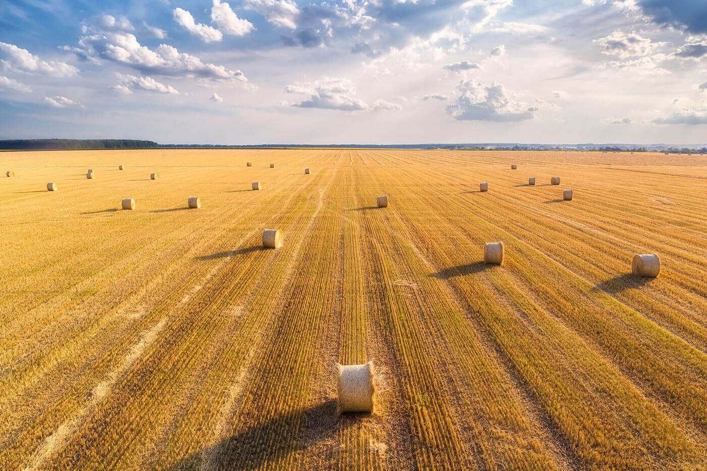 Organic Farming Fights Climate Change