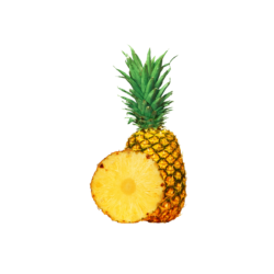 pineapple (1)