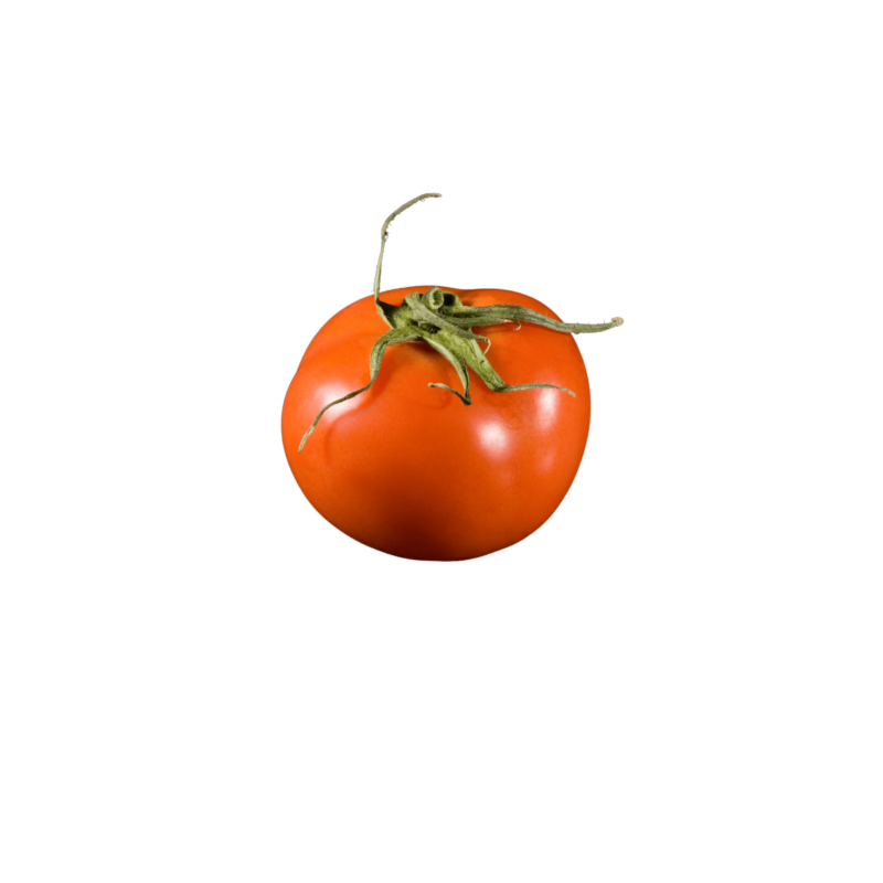 Tomate – Image 3